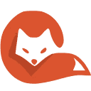 茶杯狐 Cupfox